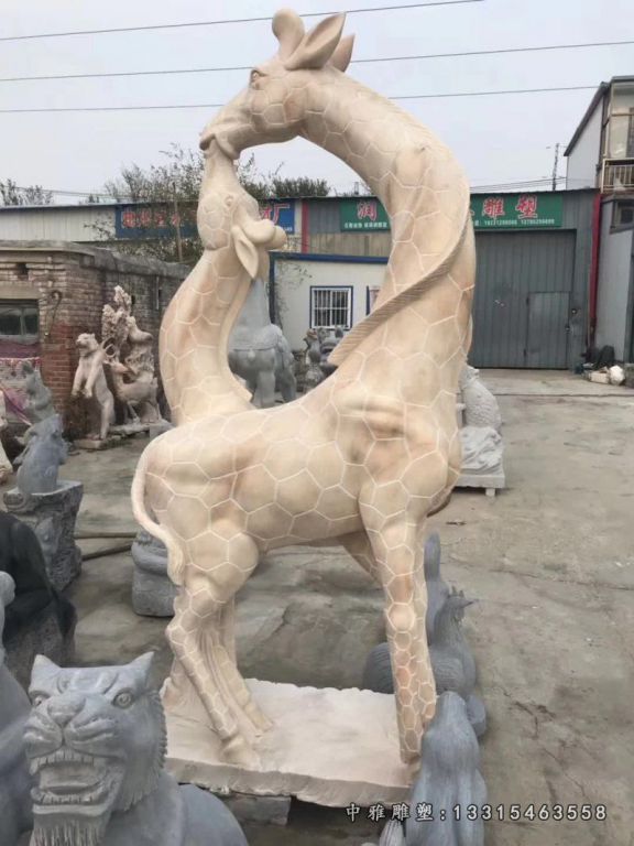 晚霞红母子长颈鹿