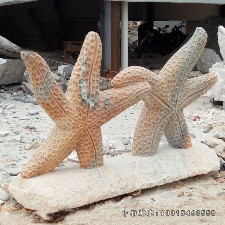 贵阳市公园动物海星石雕